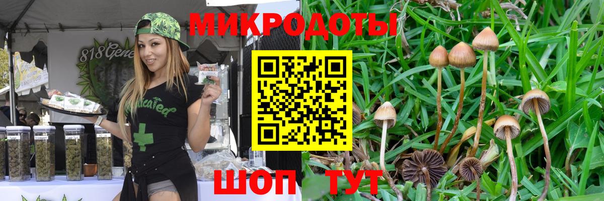 сколько стоит  Галлюциногенные грибы MAGIC MUSHROOMS  Вход с VPN  Торжок 