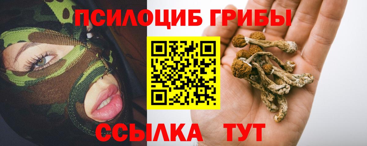 Галлюциногенные грибы Cubensis Торжок